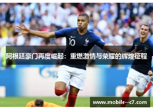 阿根廷豪门再度崛起：重燃激情与荣耀的辉煌征程