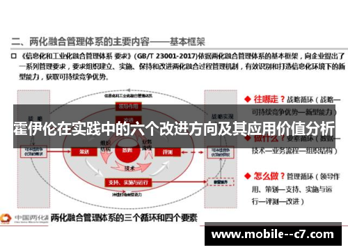 霍伊伦在实践中的六个改进方向及其应用价值分析