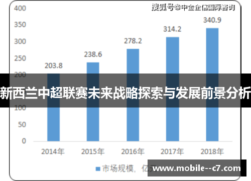 新西兰中超联赛未来战略探索与发展前景分析