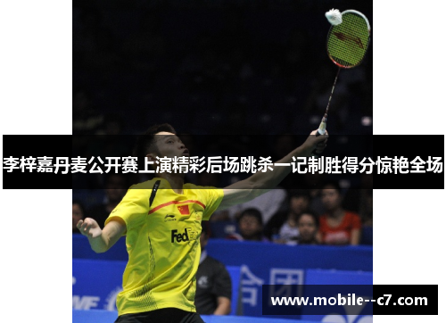 李梓嘉丹麦公开赛上演精彩后场跳杀一记制胜得分惊艳全场