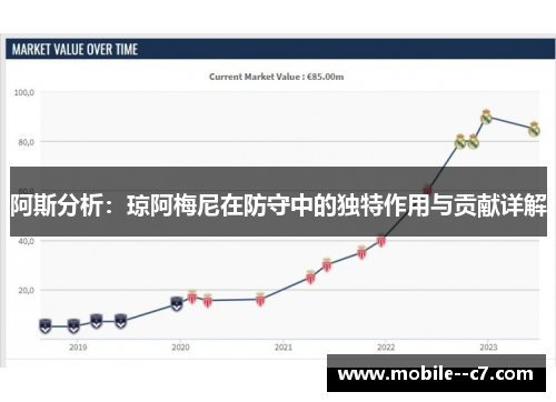 阿斯分析：琼阿梅尼在防守中的独特作用与贡献详解